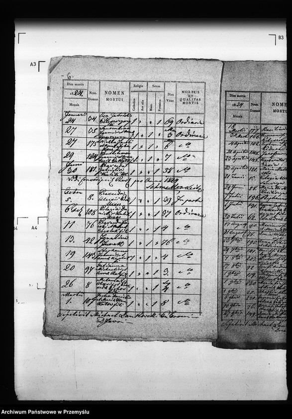 Obraz 10 z jednostki "[Kopie ksiąg metrykalnych parafii Trościaniec (dekanat Niemirów)]"