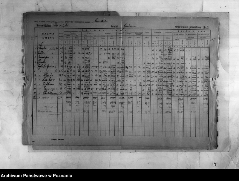 Obraz 10 z jednostki "/Statystyka produkcji rolnej - zestawienie powiatowe z terenu Gniezna/"