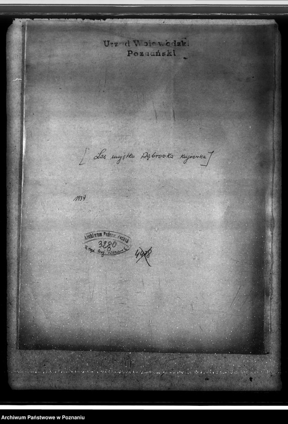 Obraz 4 z jednostki "/Las majątku Dąbrówka-Kujawska/"