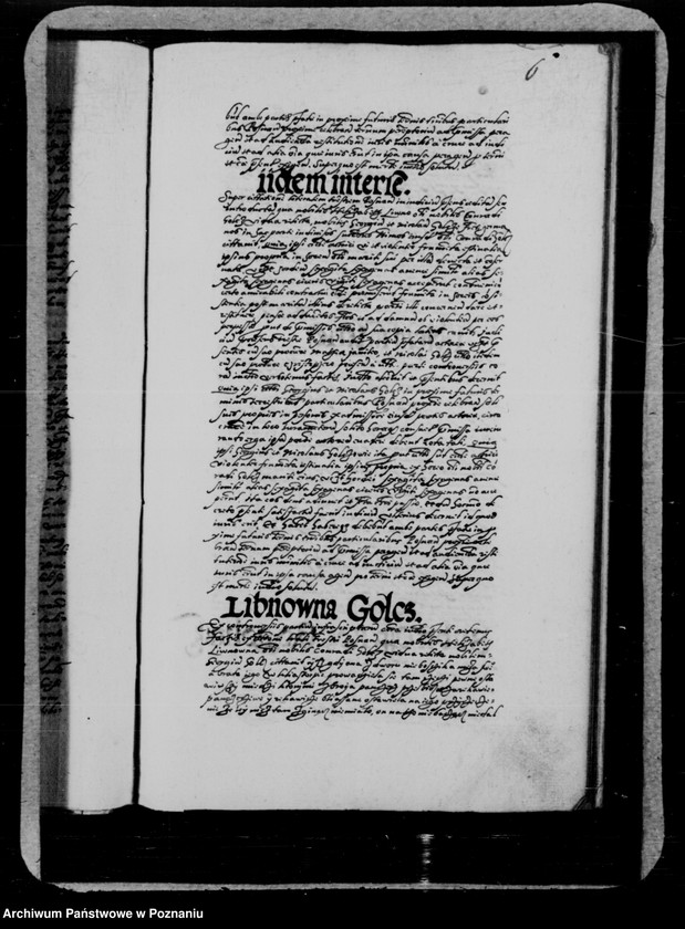 Obraz 15 z jednostki "Inscriptiones, relationes, decreta [inducta]"