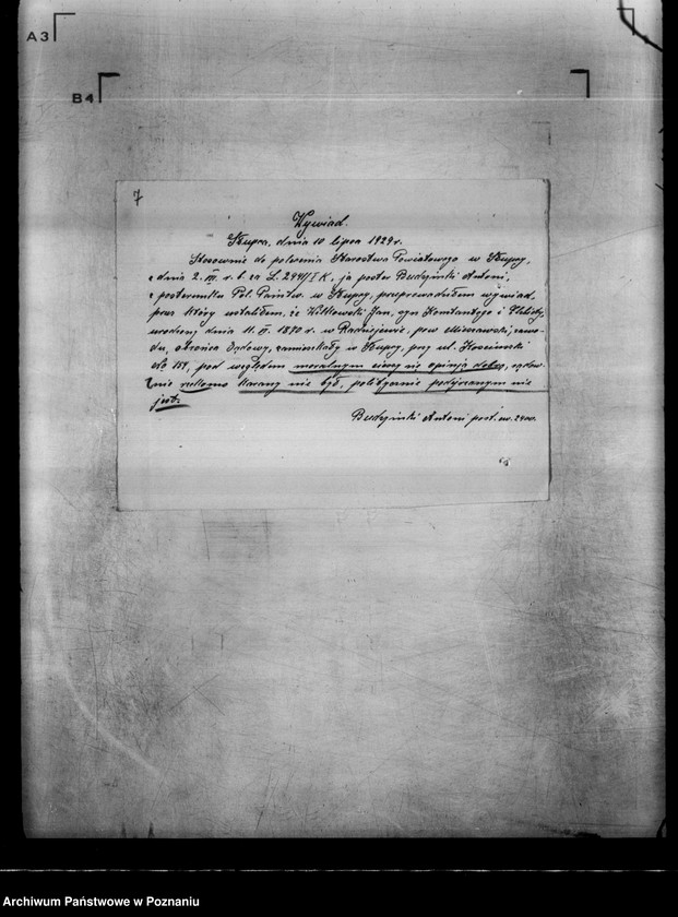 Obraz 11 z jednostki "Koło Myśliwskie w Słupcy powiat koniński"