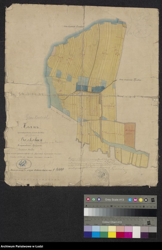 Obraz 1 z jednostki "Plan´ krestianskich zemel´ derevni Volkovyja petrokovskoi gubernii, laskago uezda"