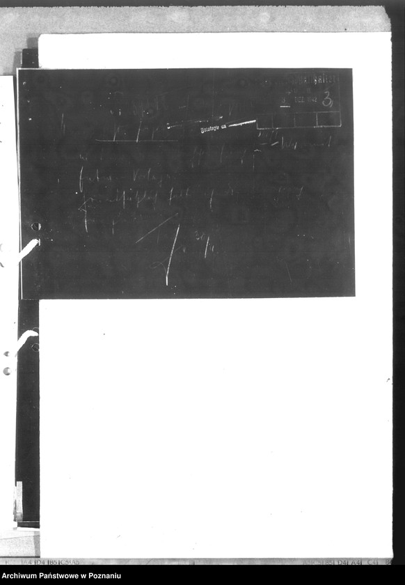 Obraz 7 z jednostki "Verband zur Förderung der Weichsel - Schifffahrtsinteressen"