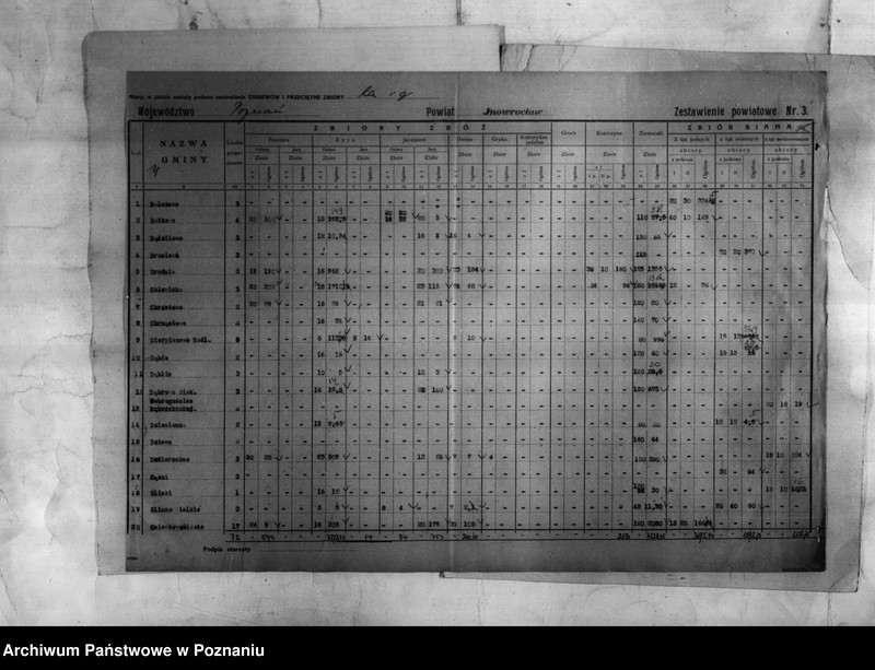 Obraz 15 z jednostki "/Statystyka produkcji rolnej - zestawienie powiatowe - Inowrocław/"