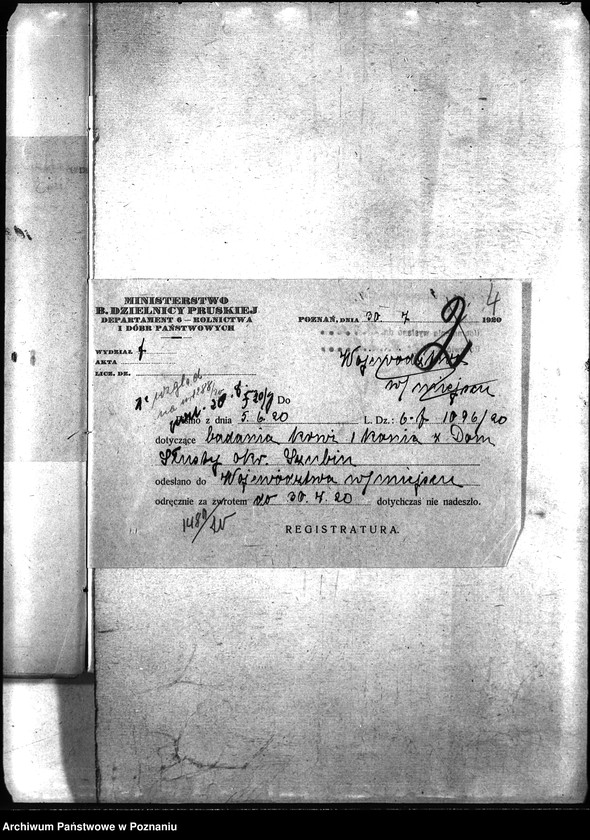 Obraz 8 z jednostki "Nosacizna - Szubin"