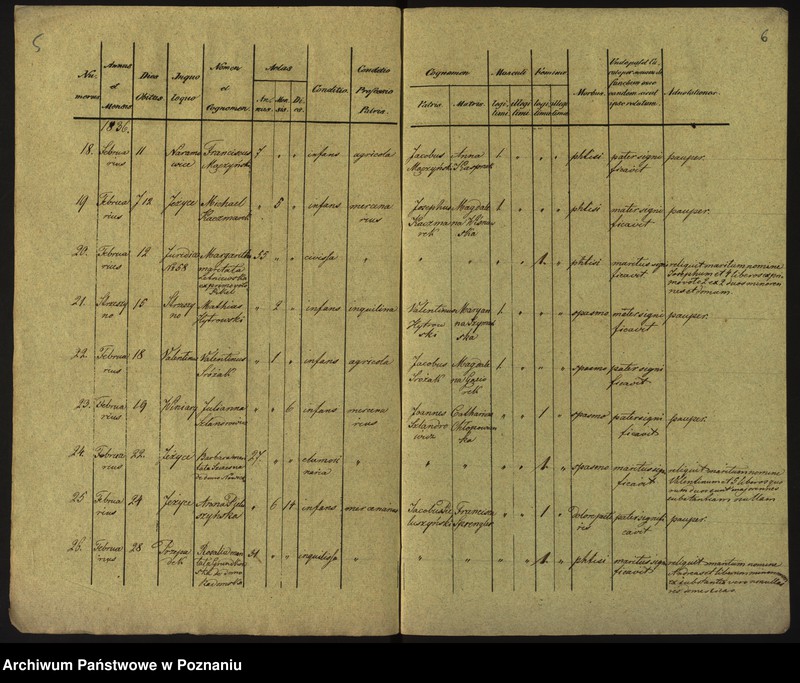 Obraz 6 z jednostki "Księga zgonów"