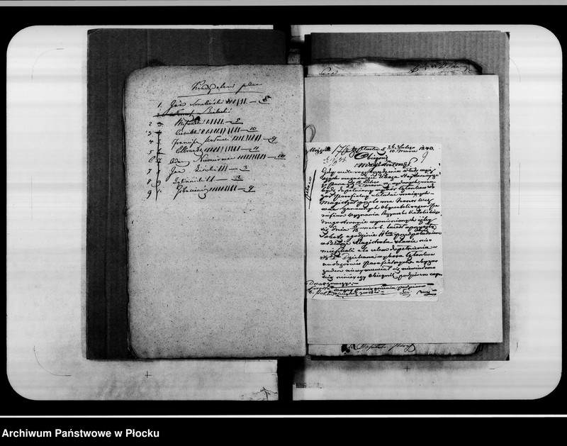 Obraz 11 z jednostki "Akta tyczące się Dozoru Kościoła Parafii Płockiej i Domu Schronienia Starców, vol. I"