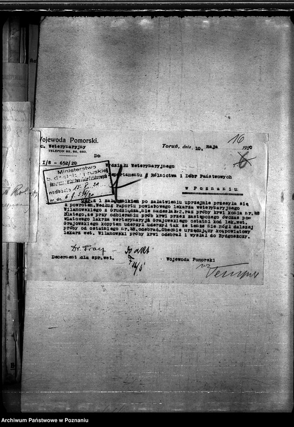 Obraz 20 z jednostki "Nosacizna - Grudziądz"