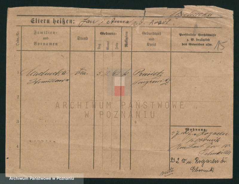 Obraz 15 z jednostki "Machucki - Mackiel"