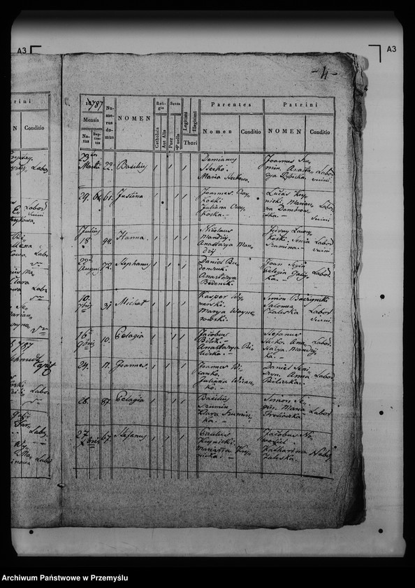 Obraz 8 z jednostki "[Kopie ksiąg metrykalnych parafii Krynica (dekanat Medenice)]"