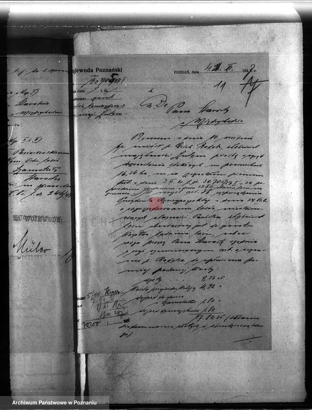 image.from.unit.number "Majętność leśna Lutom w powiecie międzychodzkim"