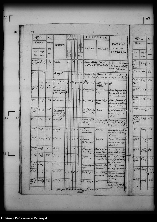 Obraz 18 z jednostki "[Kopie ksiąg metrykalnych parafii Łużek Dolny (dekanat Drohobycz)]"