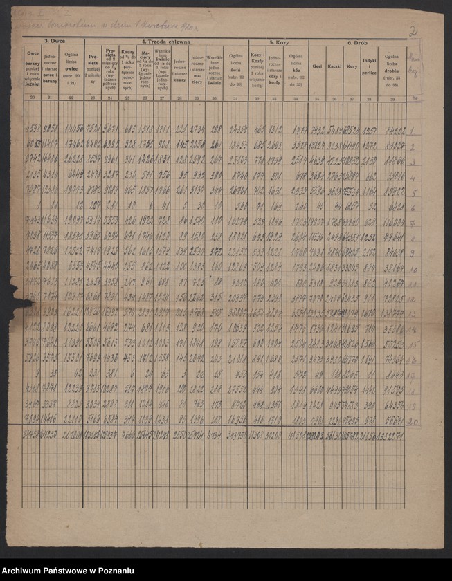 Obraz 4 z jednostki "[Listy powiatowe zapasów ziemniaków w styczniu 1920 roku] oraz spis żywego inwentarza województwa poznańskiego 1 kwietnia 1920 roku]"