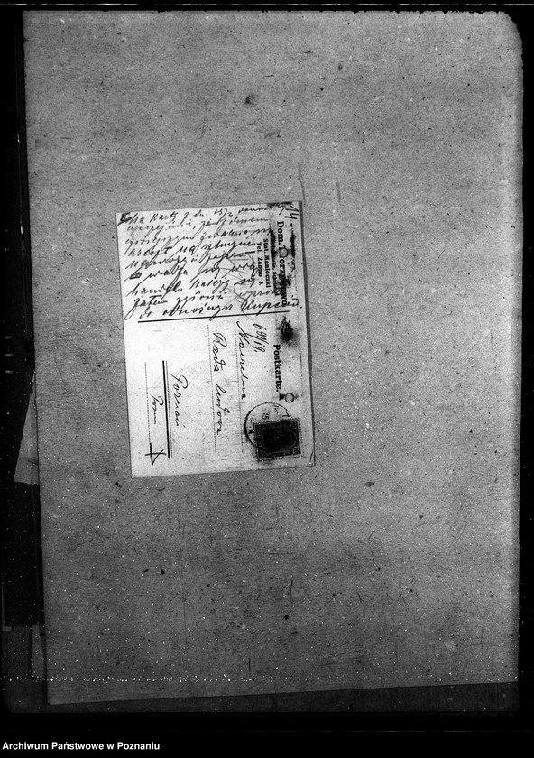 Obraz 19 z jednostki "Informacja o rolnictwie"