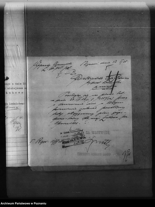 Obraz 10 z jednostki "Majętność leśna Łukowo powiat obornicki"