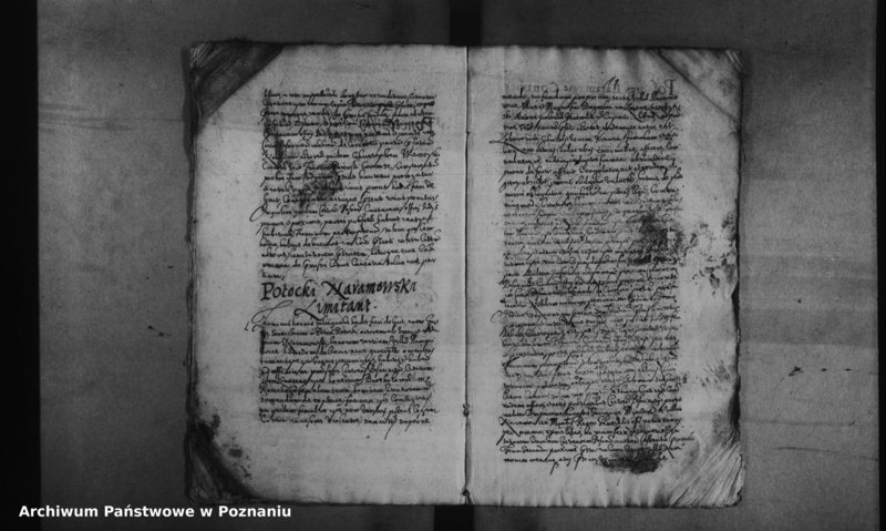 Obraz 14 z jednostki "Decreta officii [inducta]"