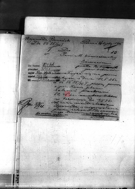 Obraz 14 z jednostki "Nadzór nad gospodarką w lasach majętności Oświęcim powiat kępiński"