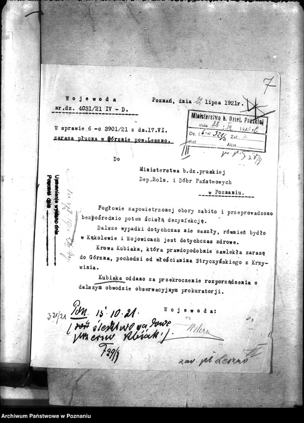 Obraz 11 z jednostki "Zaraza płucna - Leszno"