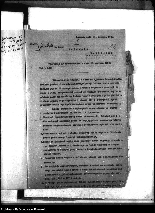 Obraz 16 z jednostki "Zaraza płucna - Poznań-Wschód"