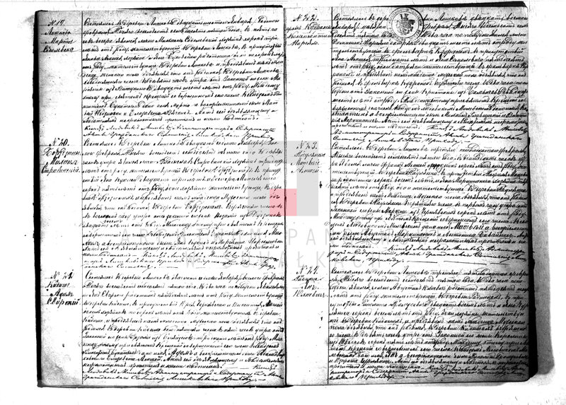 Obraz 8 z jednostki "Kniga Duplikat Rimsko- Katoličesko Liškovskago Prichoda na 1875 god"