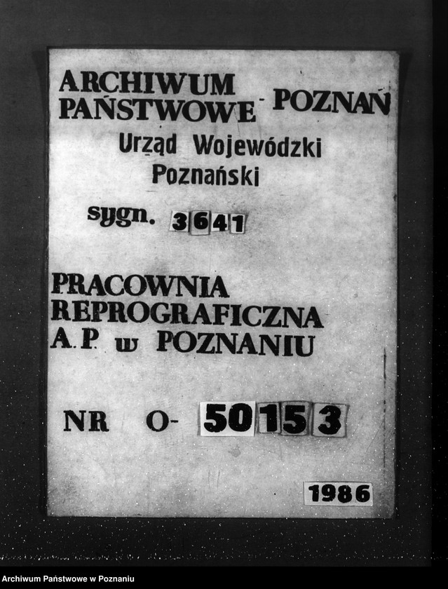 Obraz 1 z jednostki "Majętność leśna Linie w powiecie nowotomyskim"