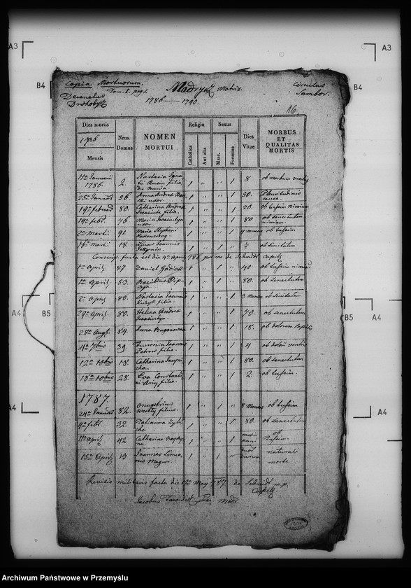 Obraz 20 z jednostki "[Kopie ksiąg metrykalnych parafii Modrycz z filią Solec (dekanat Drohobycz)]"
