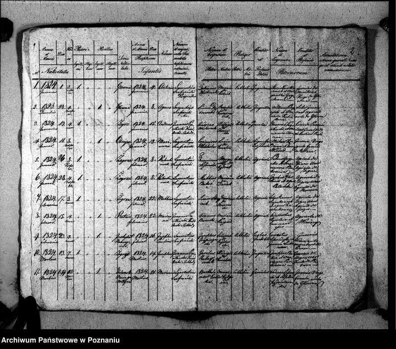 image.from.unit.number "Duplikat libri baptisatorum, copulatorum, mortuorum"