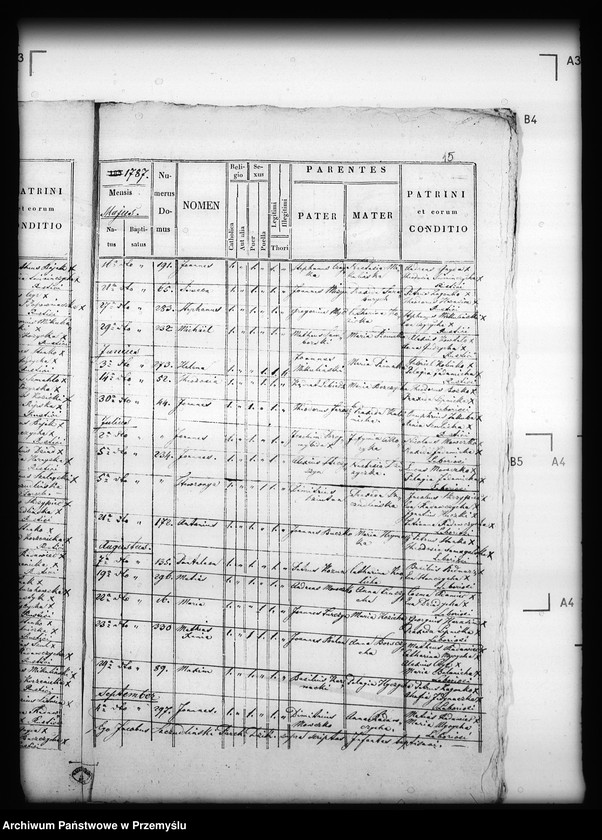 image.from.unit.number "[Kopie ksiąg metrykalnych parafii Dzików Stary (dekanat Cieszanów)]"