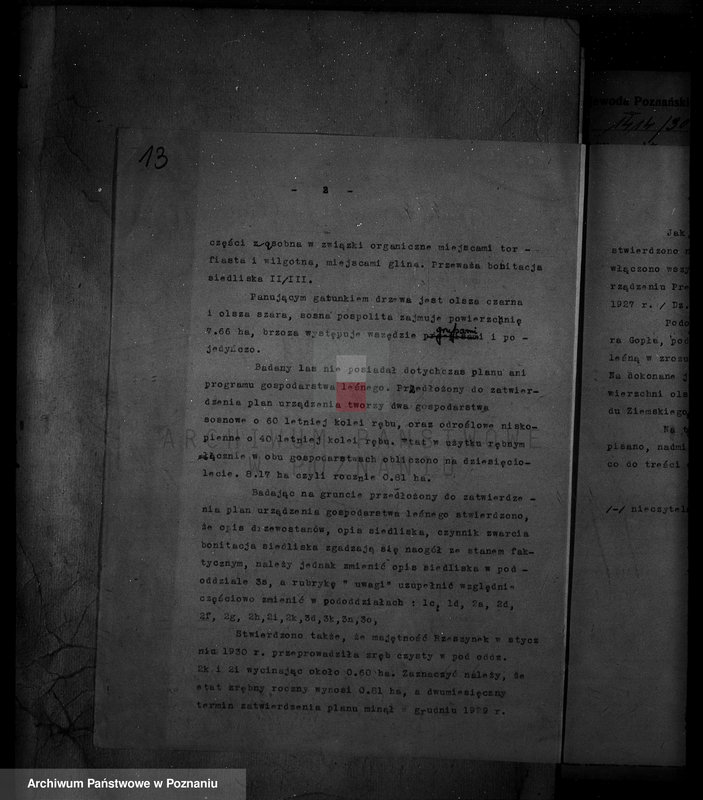 Obraz 18 z jednostki "/Majętność leśna Rzeszynek powiat mogileński"