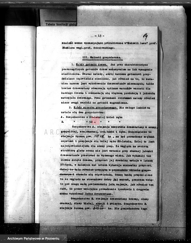 Obraz 18 z jednostki "Las majętność /Siekówko/ powiat kościański plan urządzenia 1933-1943"