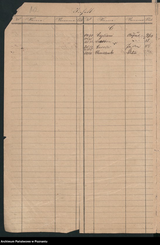 Obraz 5 z jednostki "A. betr. die Zuzüge zu den Insurgenten nach Polen vom Auslande /Deutsche, Franzosen, Italiener, Engländer, Dänen…/"