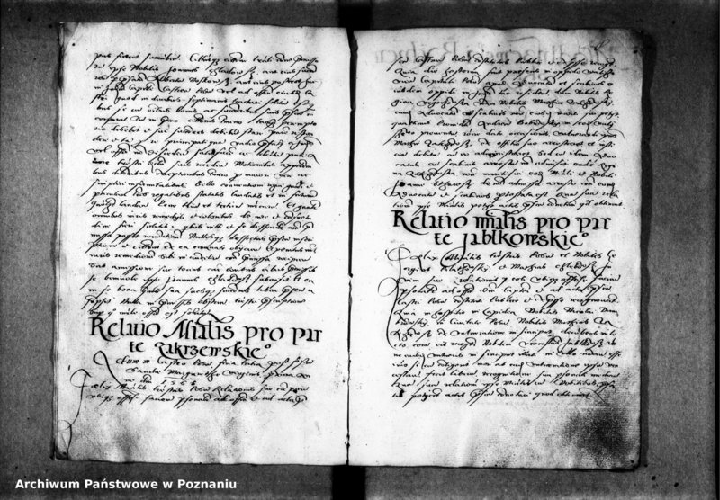 Obraz 14 z jednostki "Inscriptiones, relationes, decreta officii [inducta]"