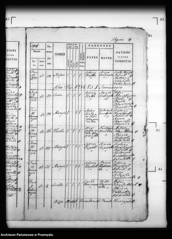Obraz 13 z jednostki "[Kopie ksiąg metrykalnych parafii Kniażpol z filią Kropiwnik (dekanat Dobromil)]"