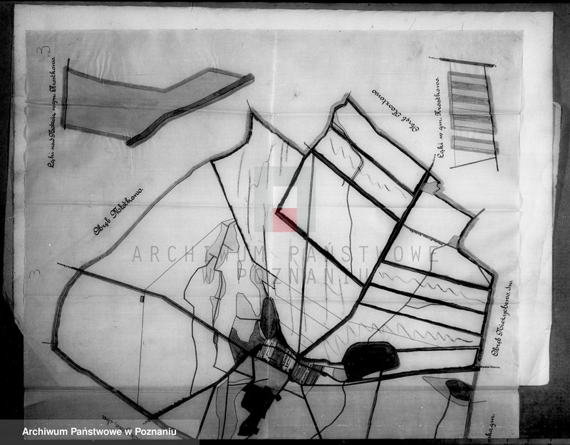 Obraz 11 z jednostki "Majątek Jeziorki Kosztowskie powiatu wyrzyskiego wyłączenie z art. 4/5 ustawy o wykonaniu reformy rolnej Ernst Buttner"