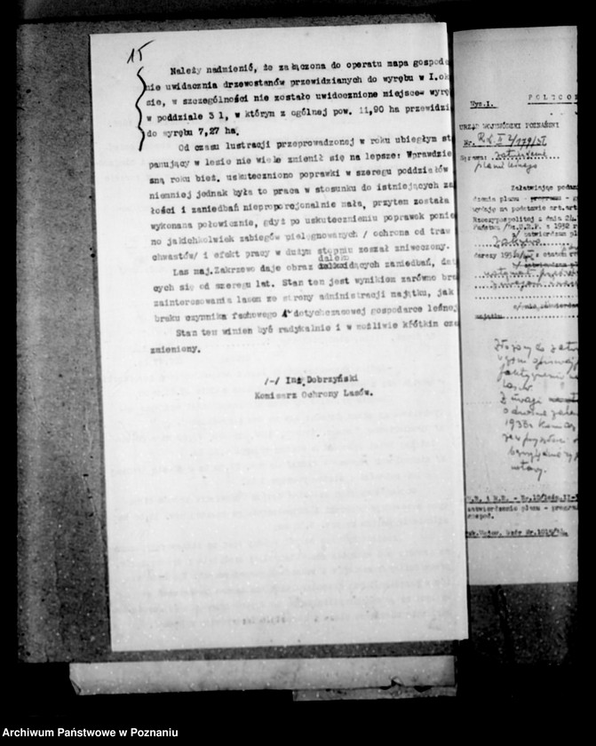 Obraz 19 z jednostki "Majętność leśna Zakrzewo powiat wągrowiecki"