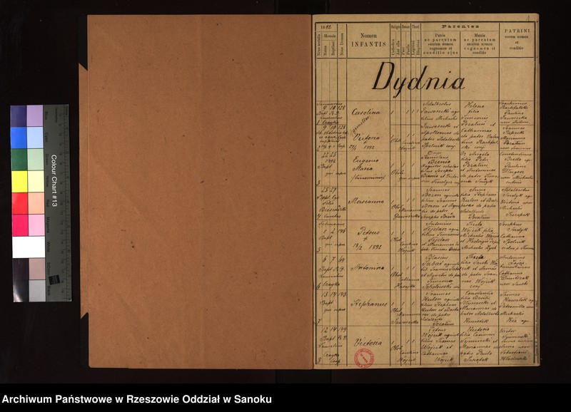 Obraz z jednostki "Księga urodzeń, małżeństw, zgonów w miejscowości Dydnia, Falejówka, Jabłonka, Jabłonica Ruska, Końskie, Krzemienna, Krzywe, Obarzym, Raczkowa, Temeszów, Witryłów, Wydrna"