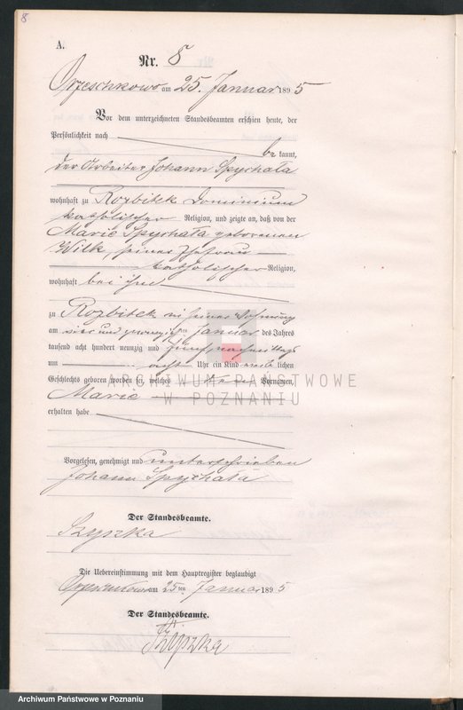 Obraz 11 z jednostki "Księga urodzeń"