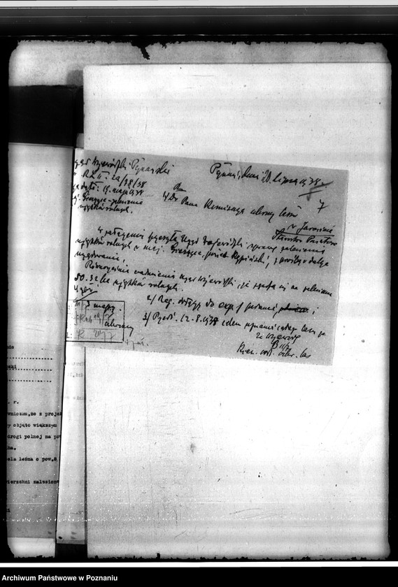 Obraz 11 z jednostki "Las majętności Gierczyce powiatu kępińskiego"