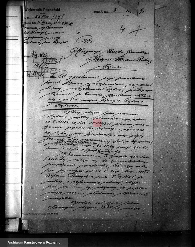 Obraz 8 z jednostki "Majętność leśna Dębowo powiat wyrzyski"