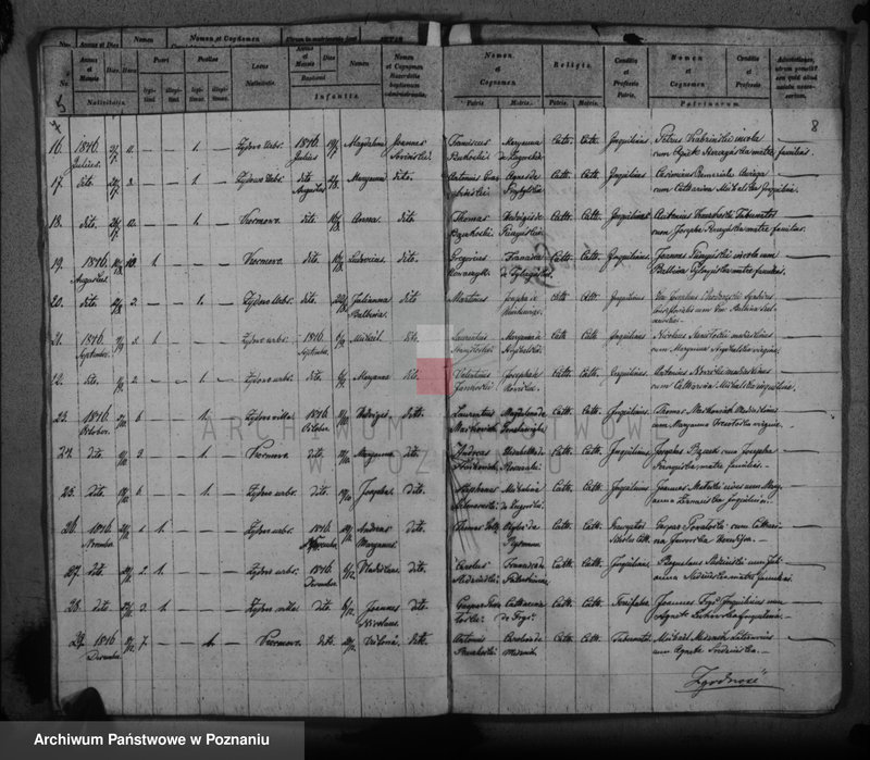Obraz 7 z jednostki "Duplikat baptisatorum, copulatorum, mortuorum"