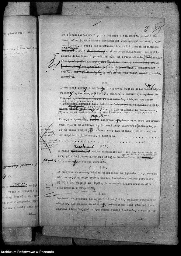 Obraz 13 z jednostki "Domeny - nowe kontrakty dzierżawne"