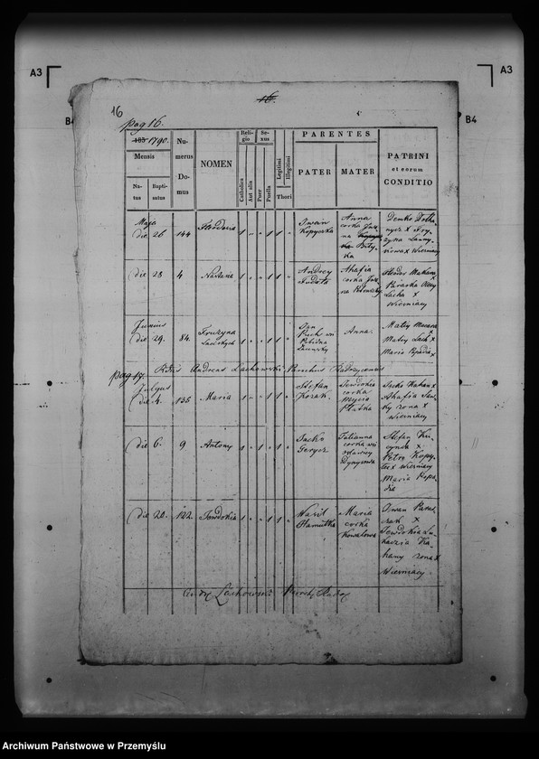 image.from.unit.number "[Kopie ksiąg metrykalnych parafii Radoszyce z filią Osławica (dekanat Łupków)]"