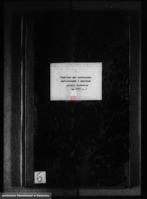 image.from.unit.number "[Duplikat akt urodzonych, zaślubionych i zmarłych parafii Grabowiec za 1879 r.]"