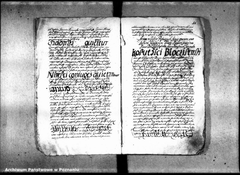 Obraz 14 z jednostki "Inscriptiones [inducta]"