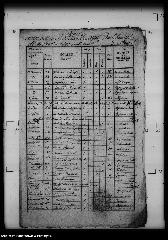 Obraz 13 z jednostki "[Kopie ksiąg metrykalnych parafii Siebieczów z filią Leszczaków (dekanat Bełz)]"