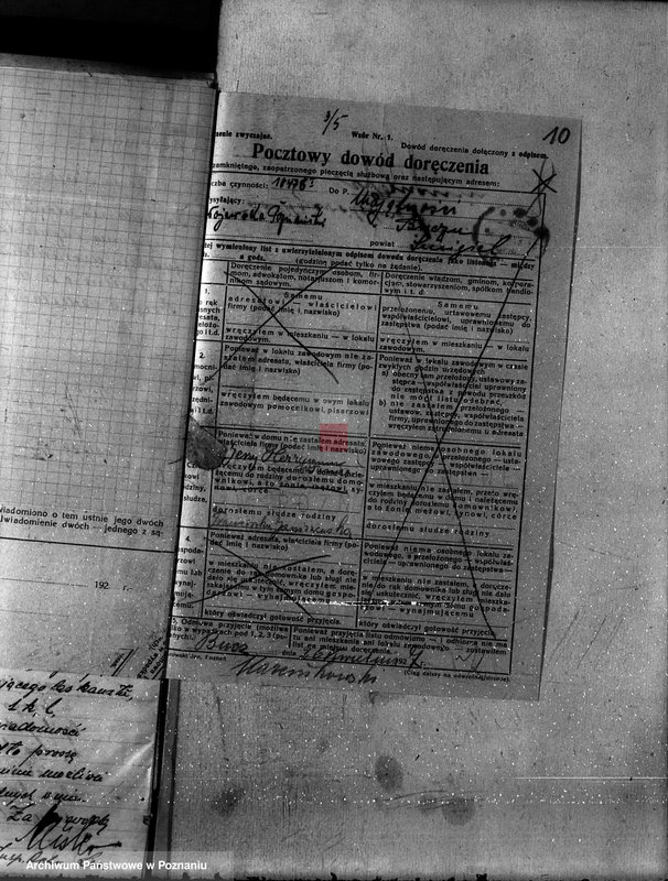 Obraz 14 z jednostki "Nadzór nad gospodarką w lasach majętności Bucz powiat kościański"