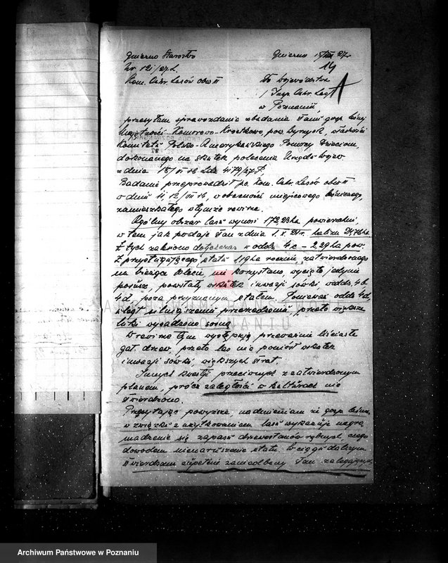 Obraz 18 z jednostki "Majętność leśna Komorowo powiat wyrzyski"