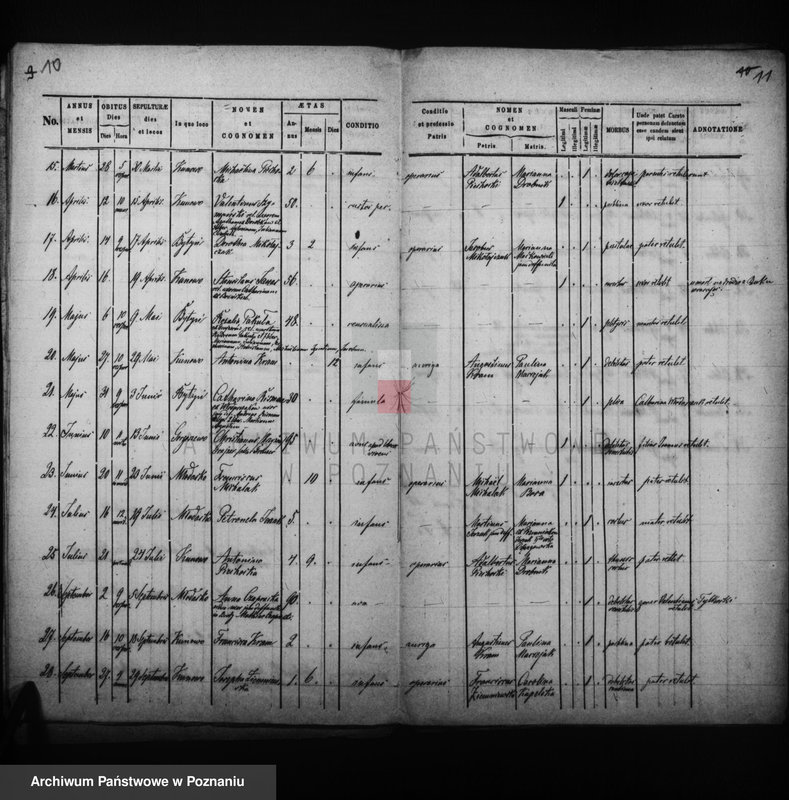 Obraz 9 z jednostki "Liber baptisatorum, copulatorum, mortuorum"