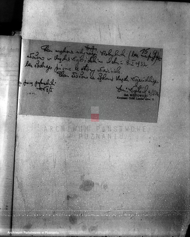 Obraz 19 z jednostki "Las majętności Bieczyny powiat kościański"