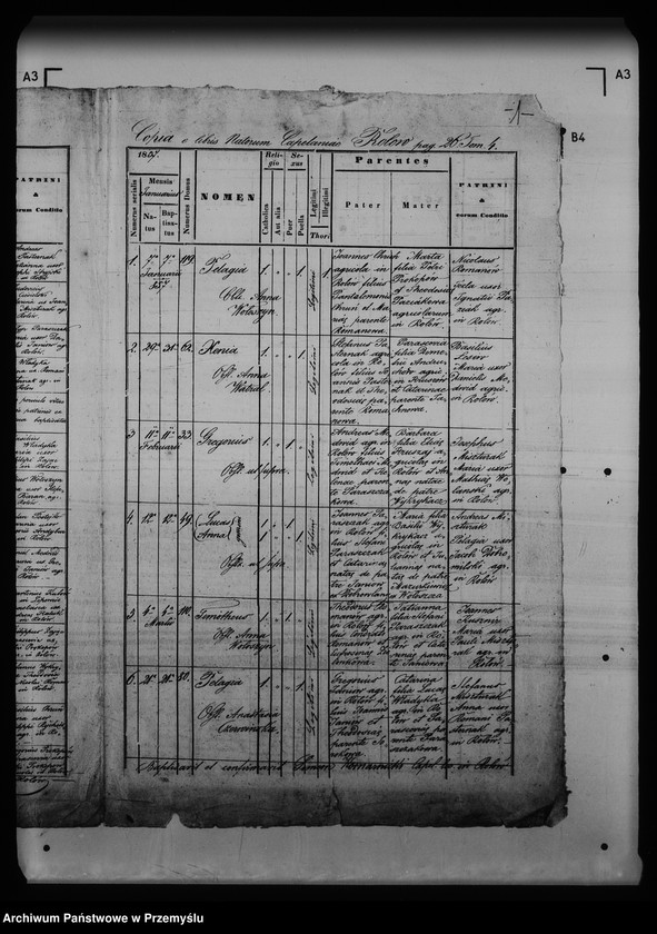 Obraz 5 z jednostki "[Kopie ksiąg metrykalnych parafii Rolów (dekanat Medenice)]"